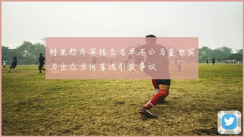 特里怒斥英格兰名单不公马奎尔实力出众为何落选引发争议